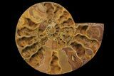 Orange, Crystal Filled, Cut Ammonite Fossil - Jurassic #168534-2
